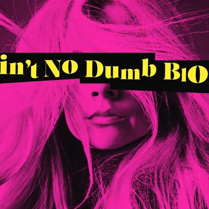 Avril Lavigne Dumb Blonde