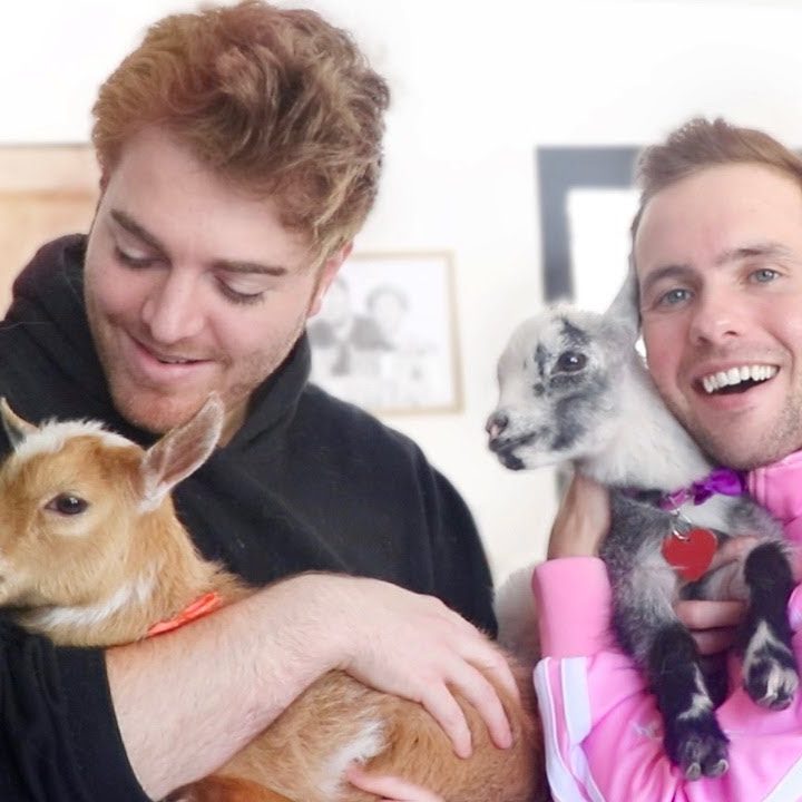 shane and ryland goat yoga