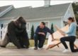 gorilla glue ads